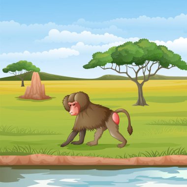 Savannah 'daki çizgi film babununun vektör illüstrasyonu