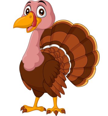 Beyaz arka planda çizgi film hindisinin vektör çizimi