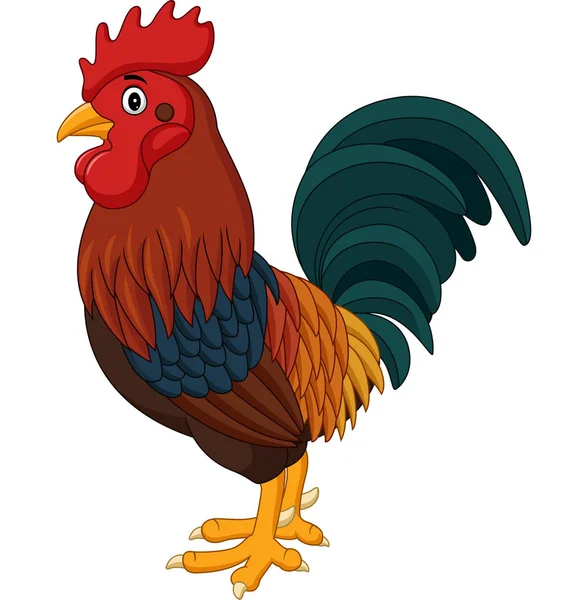 Vector Illustration Cartoon Rooster Crowing Isolated White Background — Stock Vector