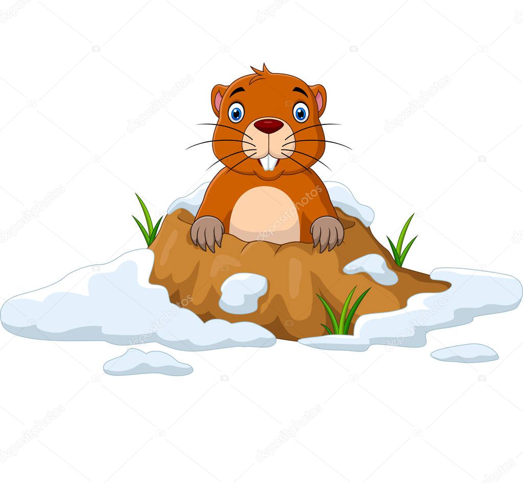 Vector illustration of Cartoon groundhog looking out of hole