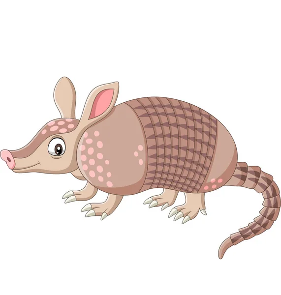 Ilustración Vectorial Cartoon Armadillo Sobre Fondo Blanco — Vector de stock