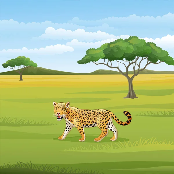 Ilustración Vectorial Leopardo Dibujos Animados Sabana — Vector de stock