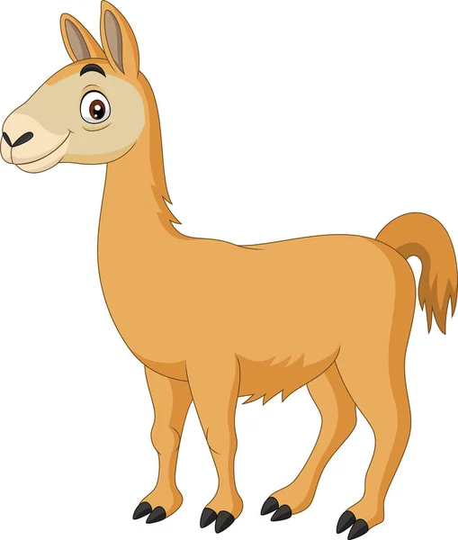 Vektor Illustration Des Cartoon Lamas Auf Weißem Hintergrund — Stockvektor