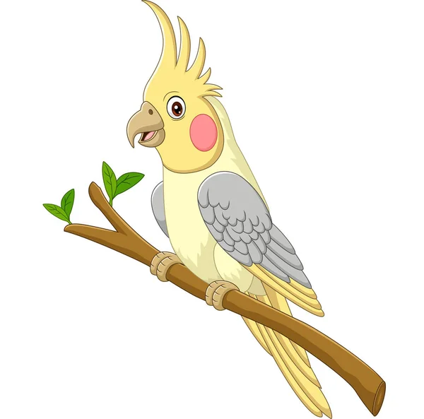 Vector Illustratie Van Cartoon Gele Cockatiels Zittend Een Boom — Stockvector