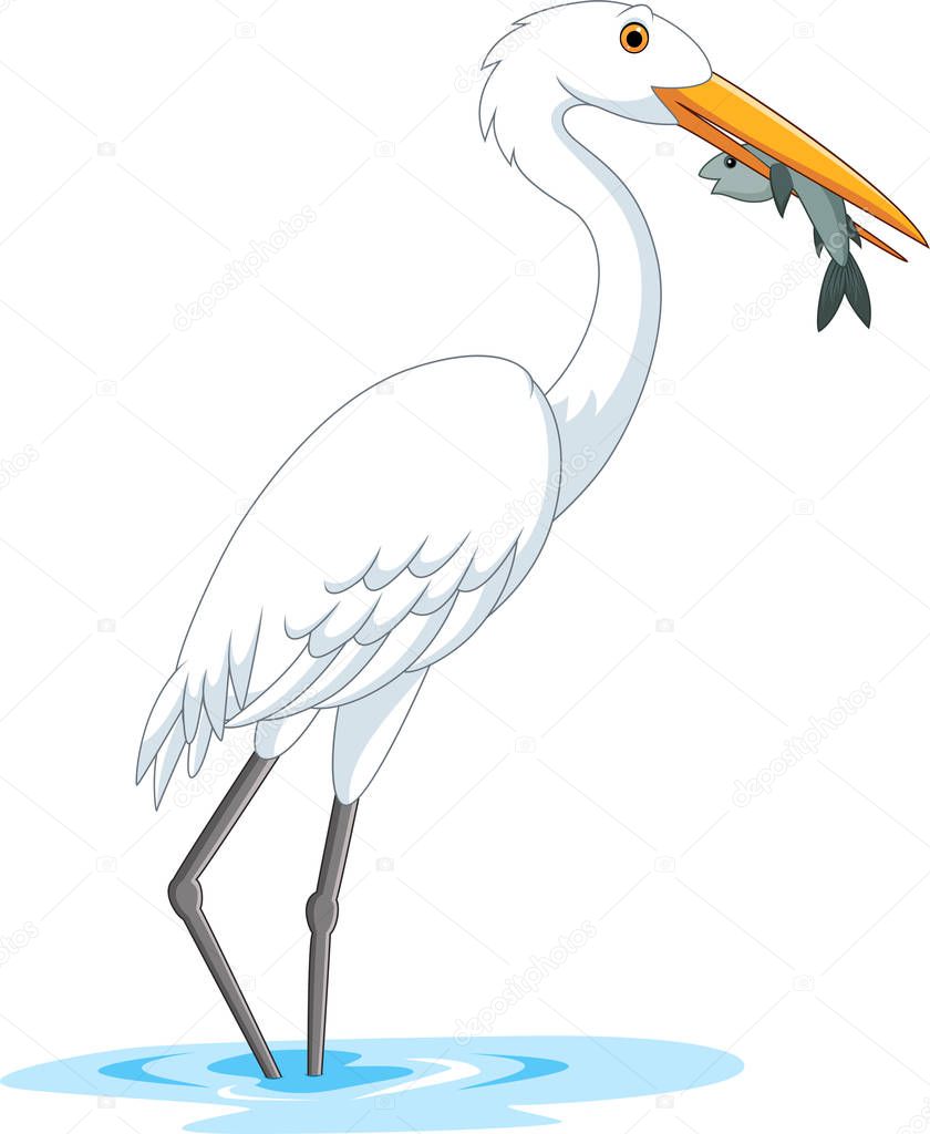 Vector illustration of Cartoon stork eating a fish