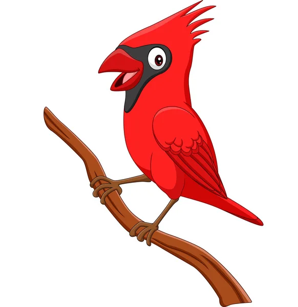 Vektorillustration Des Cartoon Kardinalvogels Auf Einem Ast — Stockvektor