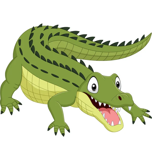 Vector Illustration Cartoon Crocodile Isolated White — Stock Vector