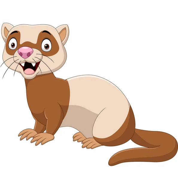 Vector Illustration Cartoon Funny Ferret Isolated White Background — Stock Vector