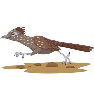 Yolda koşan Çizgi film Roadrunner kuşunun vektör illüstrasyonu