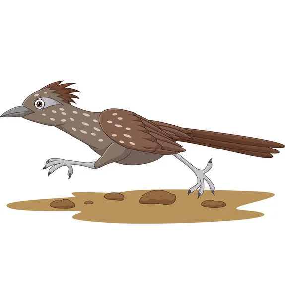 道路上を走る漫画ロードランナー鳥のベクトルイラスト — ストックベクタ