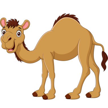 Vector illustration of Cartoon camel isolated on white background clipart