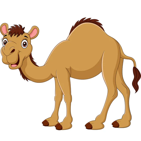 Vector Illustration Cartoon Camel Isolated White Background — Stock Vector