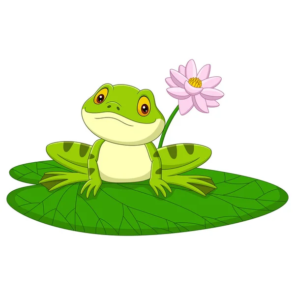Vector Illustration Cartoon Green Frog Sitting Leaf — Stock Vector