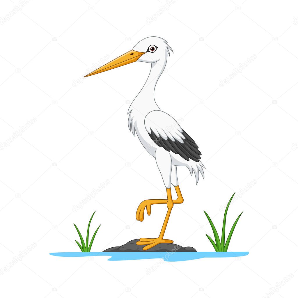 Vector illustration of Cartoon white stork on stone