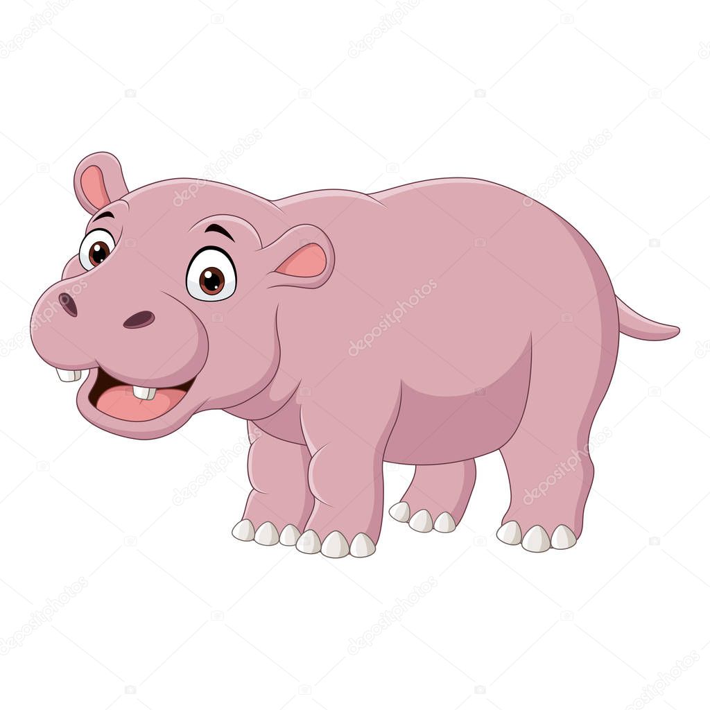 Vector illustration of Cute smiling hippo on white background 