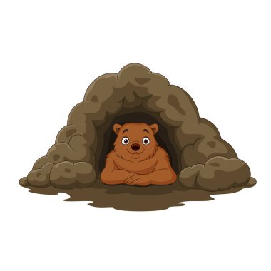 Vector illustration of Cartoon happy brown bear in the cave clipart