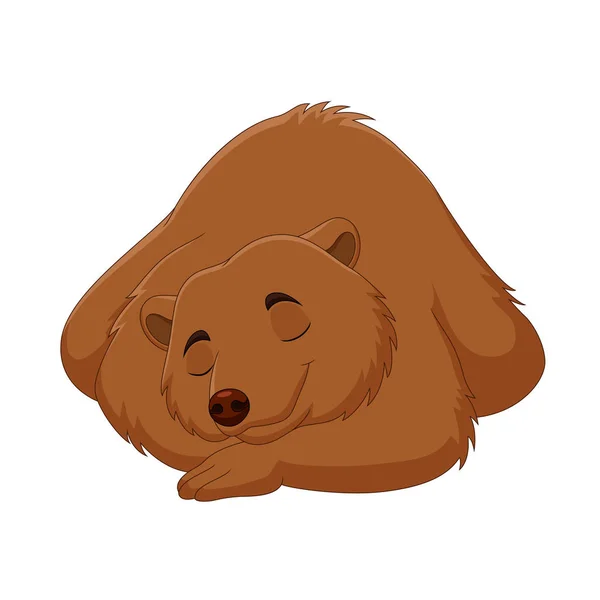 Vector Illustration Ofcartoon Funny Brown Bear Sleeping — Stock Vector