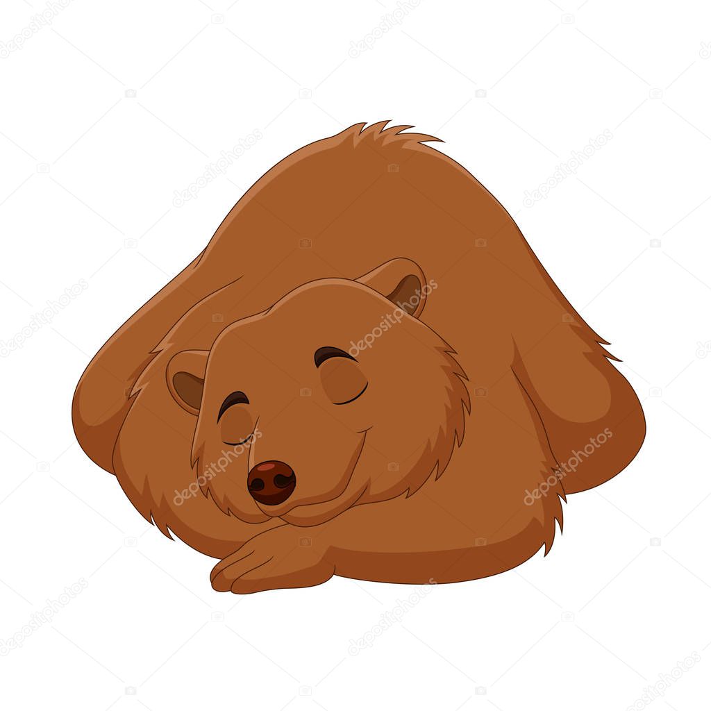 Vector illustration ofCartoon funny brown bear sleeping