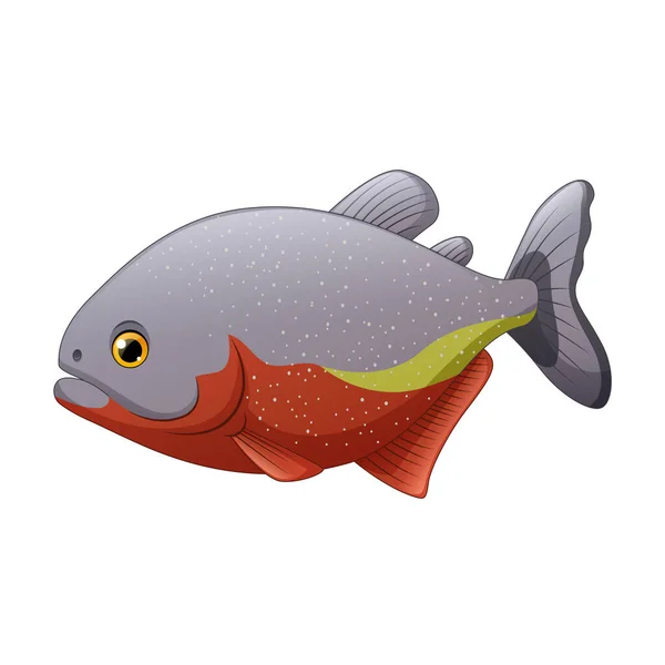 Vector Illustration Cartoon Piranha Fish Isolated White Background — Stock Vector