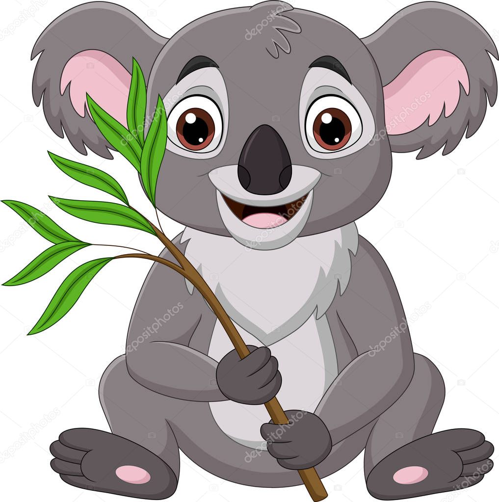 Vector illustration of Cartoon koala holding a branch of eucalyptus tree