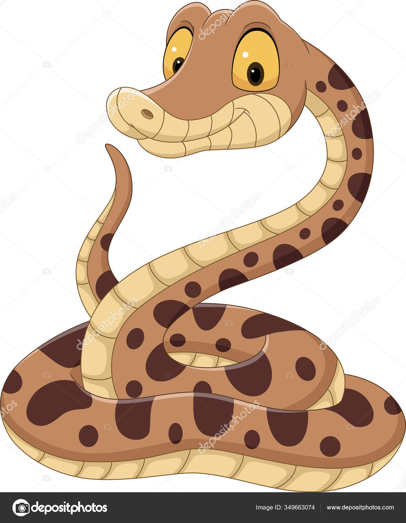 Boa constrictor anaconda Vector Art Stock Images | Depositphotos Boa constrictor anaconda Vector Art Stock Images | Depositphotos