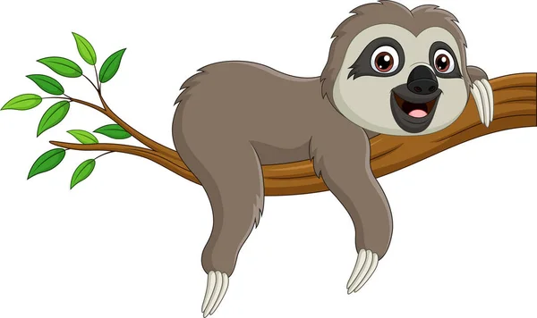 Vector Illustration Cute Baby Sloth Tree Branch — Stock Vector
