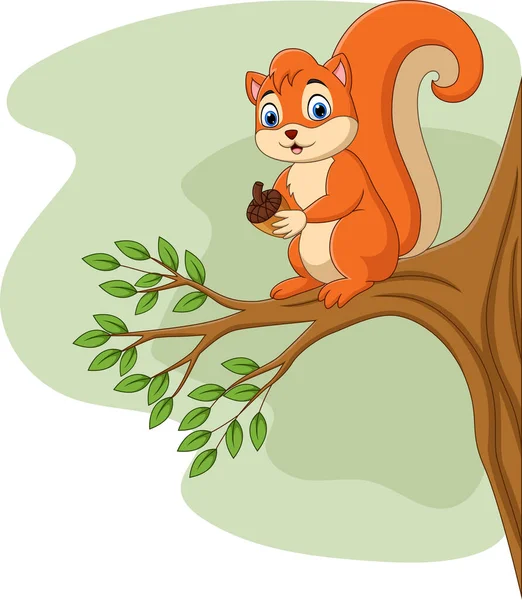 卡通松鼠在树枝上抱松果的病媒图解 — 图库矢量图片