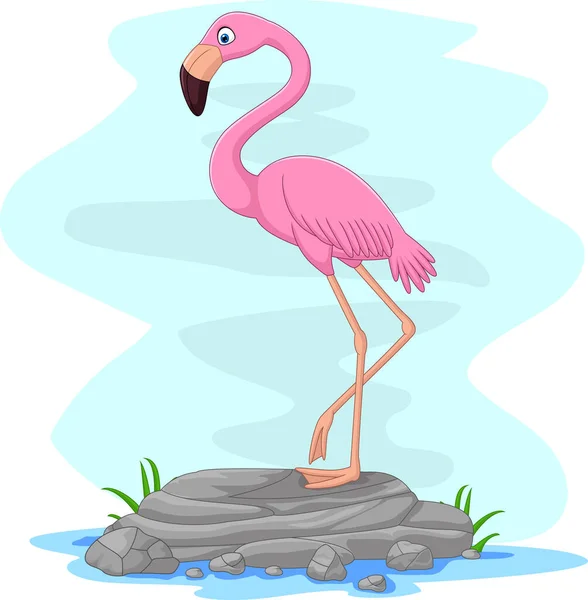 Vektorová Ilustrace Cartoon Flamingo Stojící Skále — Stockový vektor