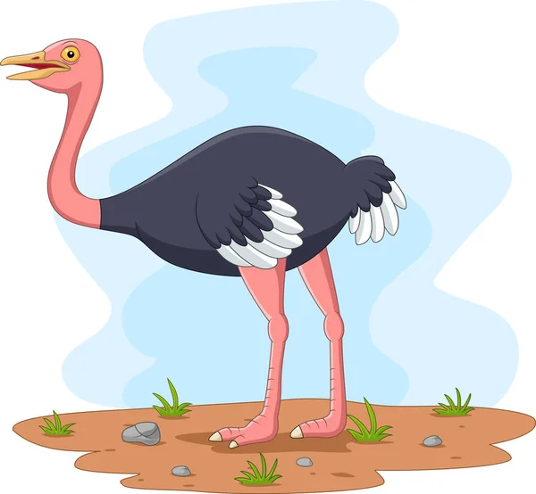 Vector Illustration Cartoon Ostrich Field — Stock Vector