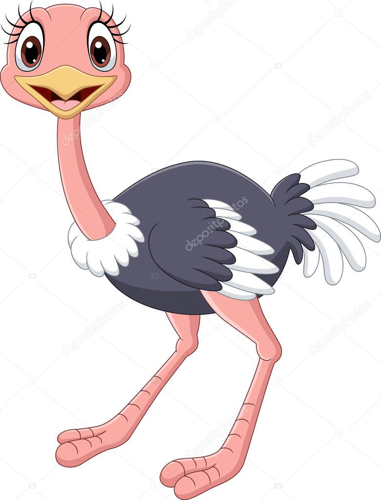 Vector illustration of Cartoon baby ostrich isolated on white background