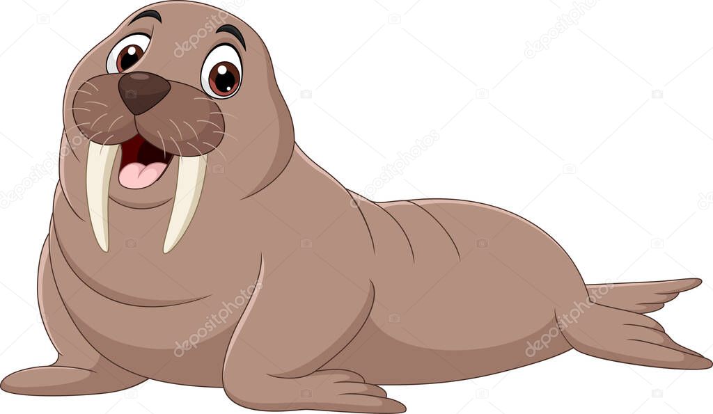 Vector illustration of Cartoon walrus isolated on white background