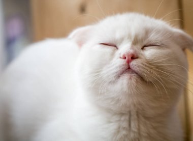 Ne zaman benimle oynamak çok mutluyum