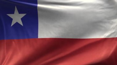 Şili Döngüsü Bayrağı