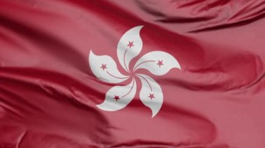 Hong Kong bayrağı