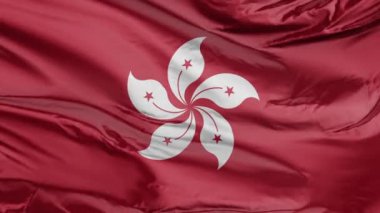 Hong Kong bayrağı