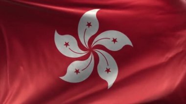 Hong Kong bayrağı.