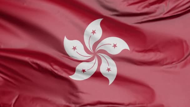 Vlag Van Hong Kong — Stockvideo