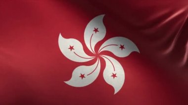 Hong Kong bayrağı.