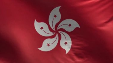Hong Kong bayrağı.