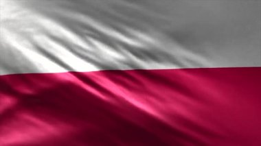 Polonya Bayrağı 3d Döngü