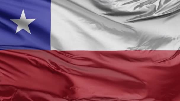 Chiles flagga realistisk 3d — Stockvideo