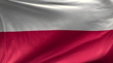 Polonya Bayrağı 3d Döngü