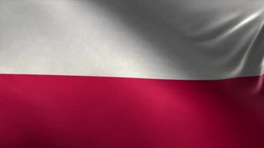 Polonya Bayrağı 3d Döngü