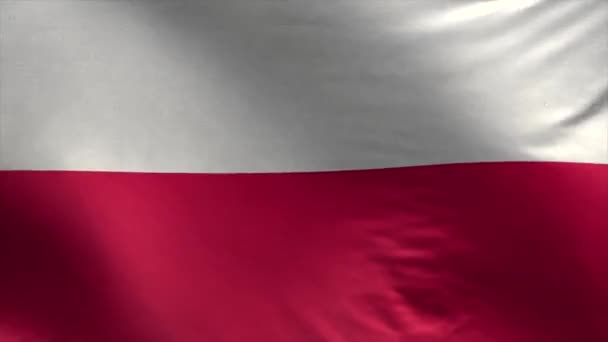 ポーランドの旗3Dループ — ストック動画