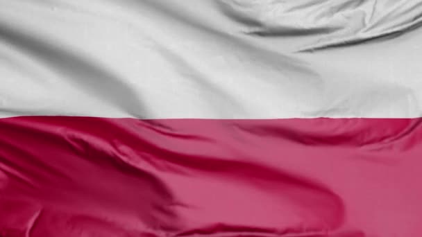 Bandera Polonia — Vídeo de stock