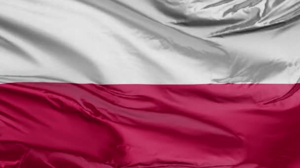 Bandera de Polonia Realista 3D — Vídeo de stock