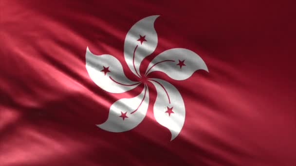 Bandera Hong Cong Loop — Vídeos de Stock