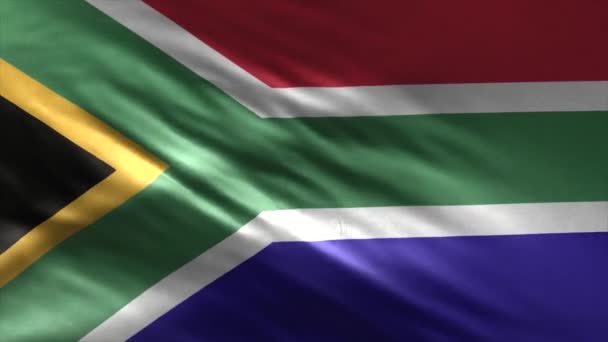 南アフリカの国旗 Loop — ストック動画