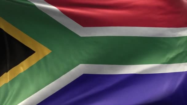 Vlag Van Zuid Afrika Loop — Stockvideo