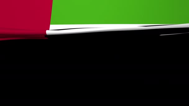 Bandera Emiratos Árabes Unidos Caída Mostrada Alfa — Vídeo de stock